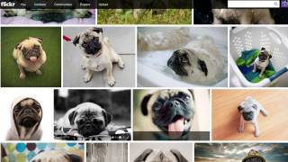 Biggr. Spectaculr. Wherevr. Flickr. screenshot 5