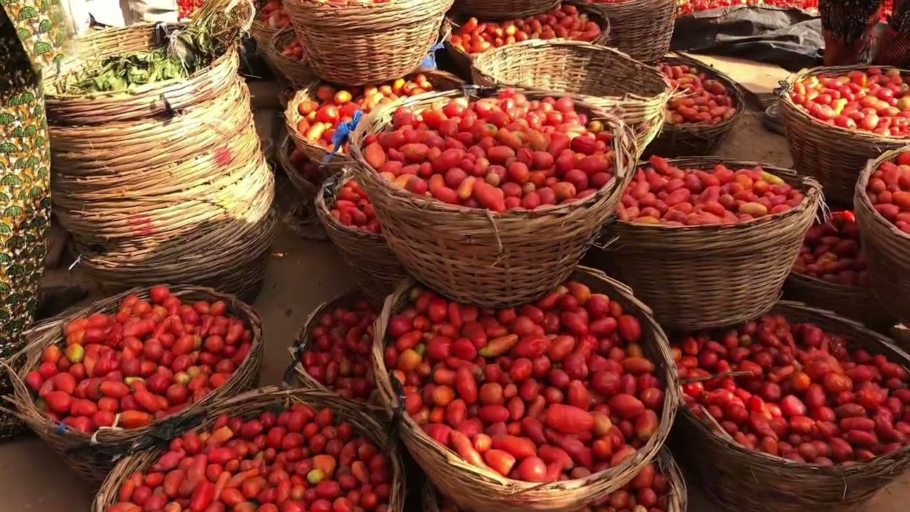 ОДИН ДЕНЬ ИЗ ЖИЗНИ КРОЛИКОВОГО ФЕРМЕРА И МОДЕЛЬНОГО ДИЗАЙНЕРА В НИГЕРИИ — ПОКУПКА ПЕРЕЦА В НИГЕРИИ