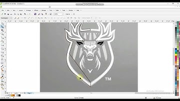 Coreldraw Tracing Techniques for Experts & Beginners - Ahsan Sabri