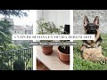 FIN DE SEMANA SOSTENIBLE Y ZERO WASTE // Plantas, paseos, huerto y mucho Dante