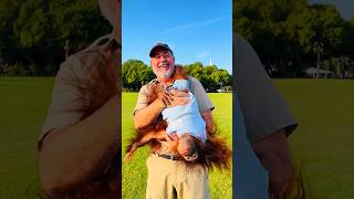 How Did This Zookeeper Earn The Trust Of So Many Animals?