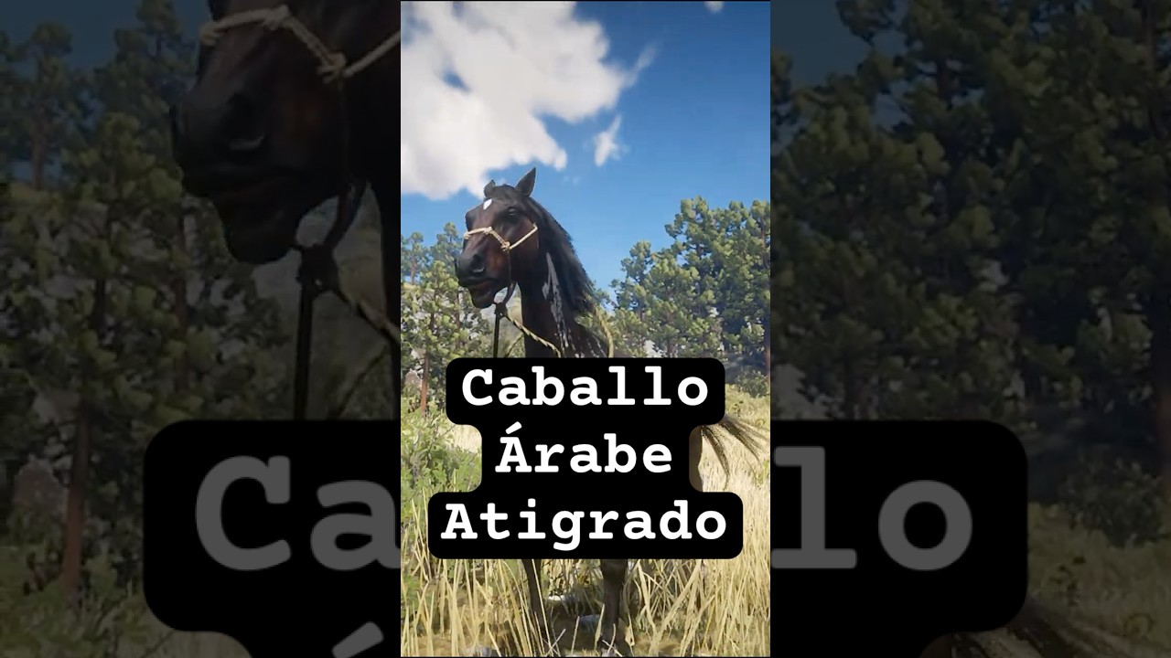 🐎 Dónde Encontrar al Caballo Árabe Atigrado en RDR2 |  