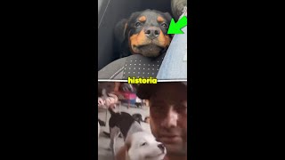 Lo acusaron con la poli sólo por cuidar perritos.