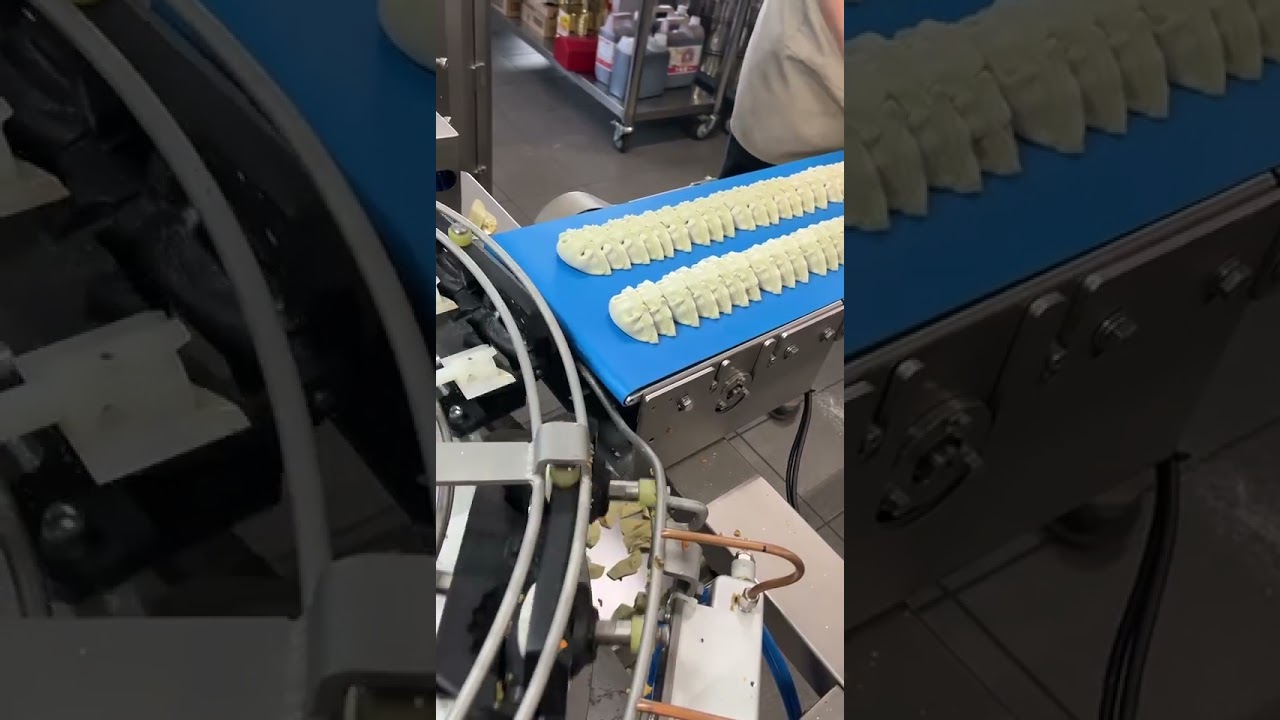 🥟 From the East with Flavor, to Switzerland with Precision