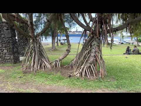 Video: Teie reis Papeete, Tahiti pealinna