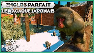Les Macaques Japonais | LES ENCLOS PARFAITS : EPISODE 46 | PLANET ZOO