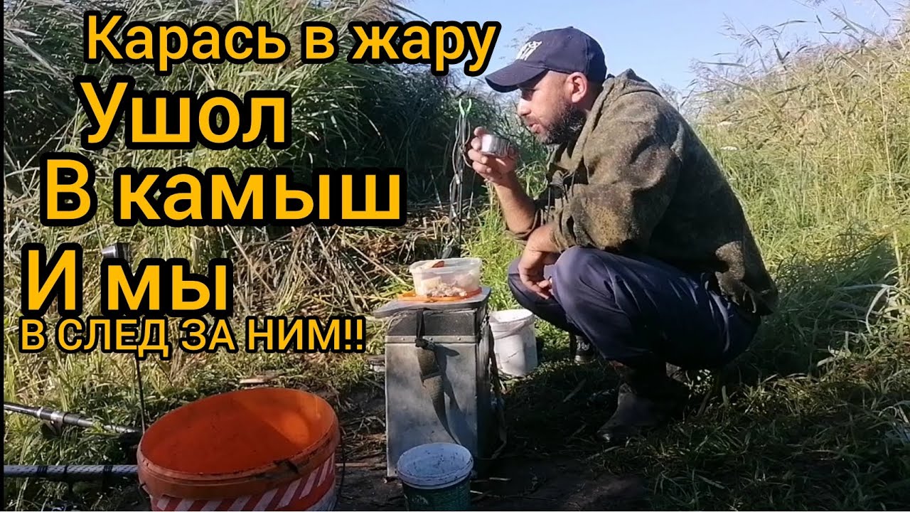 РЫБАЛКА в Курской Области, Весь карась у камыша.