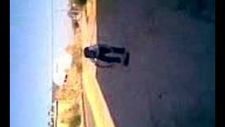 Zonitoo Jugando Cn Un Perro Cbtis 84