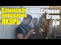 Крымская пивоварня Якорь. Crimean Grape Ale, Наташа любит БУЙ, Спартак