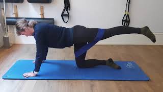 4 Point Kneeling Hip Extension