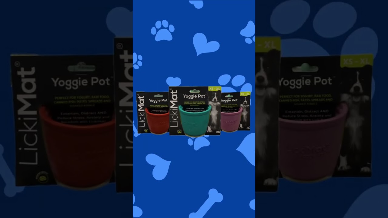 How to Keep Your Dog Calm This Holiday Weekend