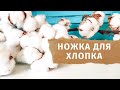 Ножка для хлопка. Мастер-класс по флористике.