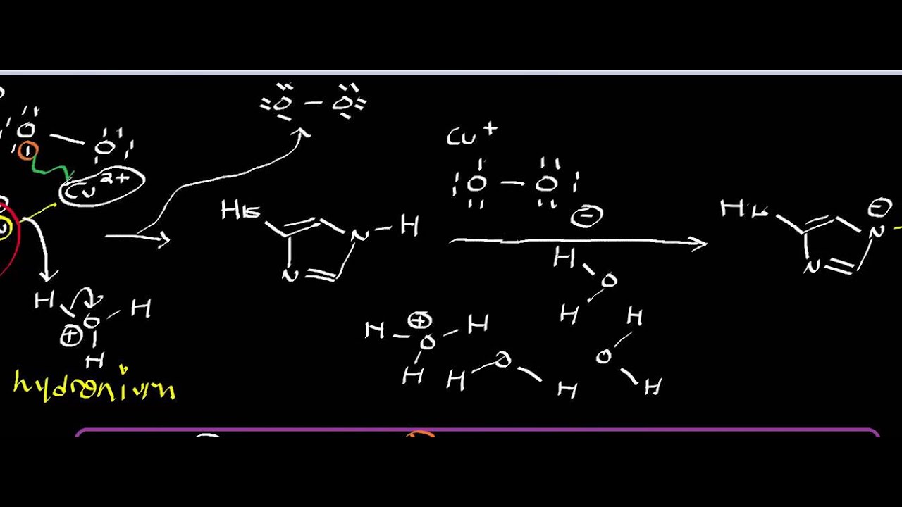 Biochemistry Superoxide Dismutase Physiology, Biochemistry