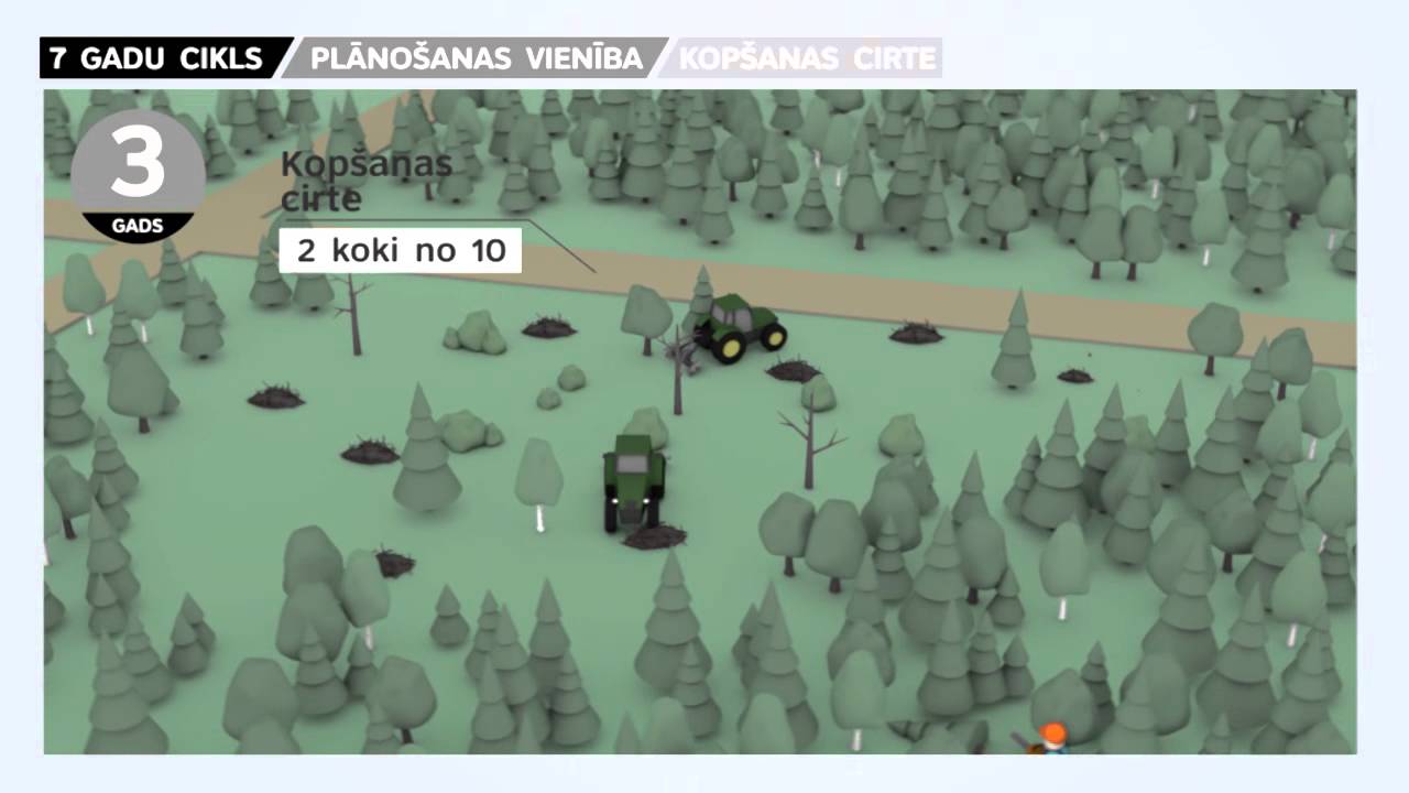 LVM Mežs cilvēkiem