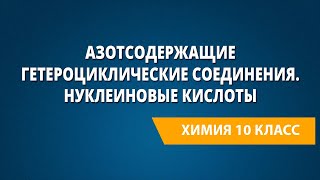 Азотсодержащие гетероциклические соединения. Нуклеиновые кислоты