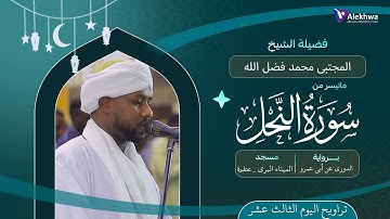 رمضان 1446ﮪ | تراويح اليوم الثالث عشر | ماتيسر من سورة النحل | القارئ :- المجتبى محمد فضل الله