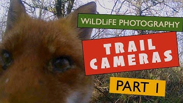 Setting up Trail Cameras + Apeman H60 Trailcam Review - Part 1