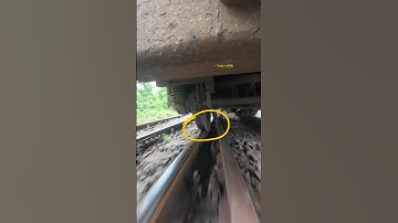 Train Wheels passing trunout flange. #Wheels #train #crossing #shorts