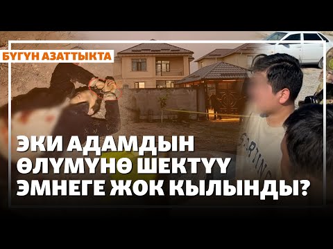 Эки адамдын өлүмүнө шектүү эмнеге жок кылынды Жаңылыктар 14 10 2025