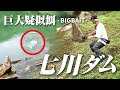 【七川ダム編】~ビッグベイトで夏の七川を攻略！~ ニヤケイのバスフィッシング・アドベンチャー vol.6
