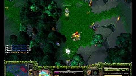 DotA 6.59 Ultimate Bug