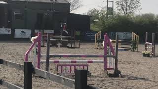 Noxs De Lโesprit Z, British Novice- Tushingham
