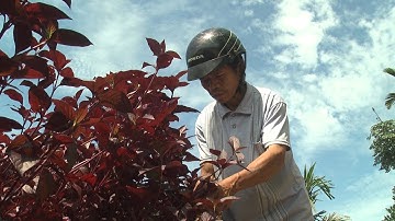 Nhiều công trình, phần việc chào mừng đại hội Đảng bộ các cấp tạo khí thế thi đua sôi nổi tại xã Trí