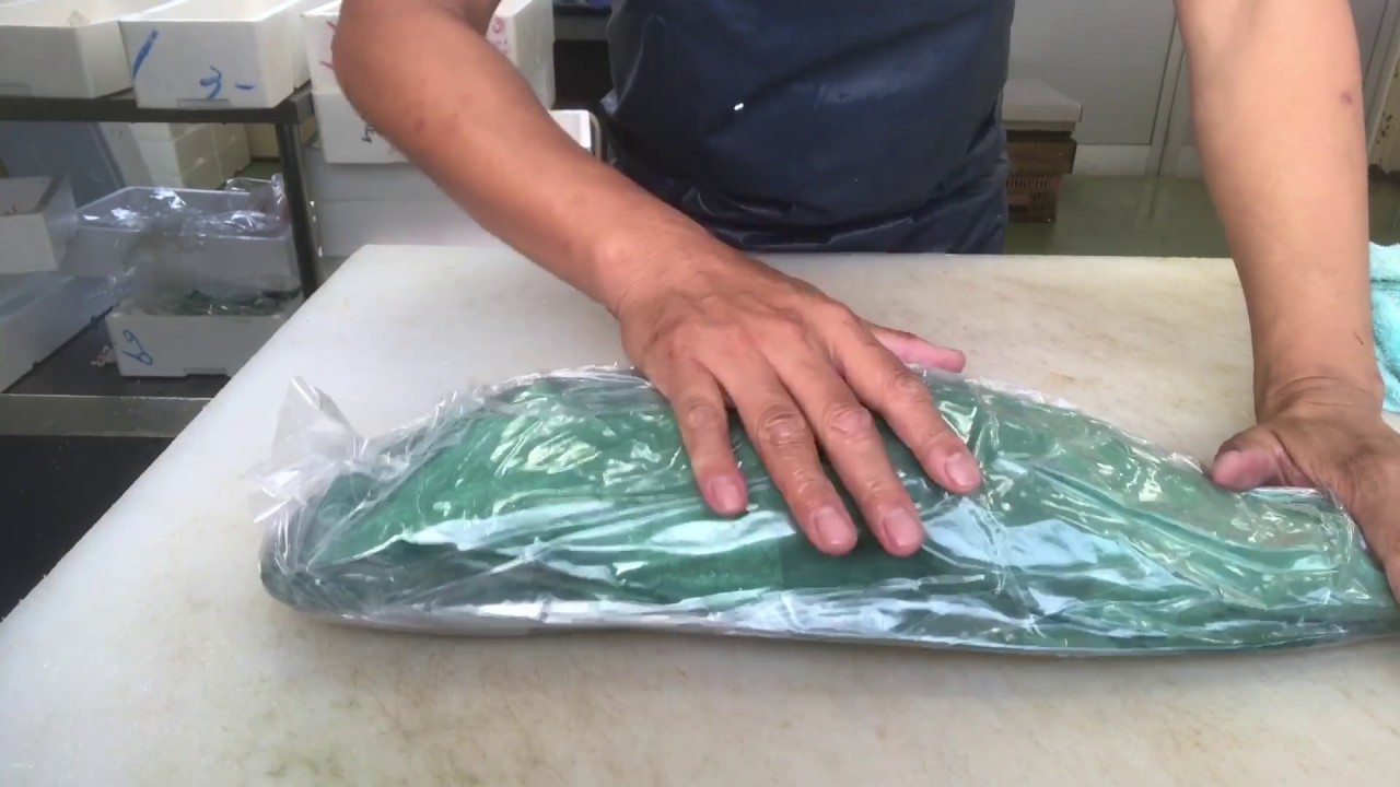 グリーンパーチとは魚を包む緑の紙です。まぐろ保存熟成や津本式血抜きの鮮魚包装紙です | 紙の宅配便・浜田紙業
