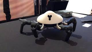 GearBrain: We're smitten with this creeping, crawling spider robot at #ces2019