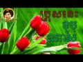 Ros serey sothea  khmer old song  cambodia music mp3  pros nes khoch nas