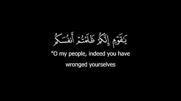 كروما قرآن كريم - الشيخ: ياسر الدوسري- سورة البقرة ( الآيات 52 - 55 ) #كرومات_قرآن