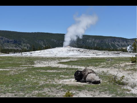 Video: Najlepšie aktivity vo West Yellowstone, Montana