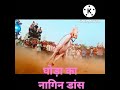 Nagin Dane S Video