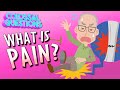 Understanding Pain: A Colossal Questions Quiz