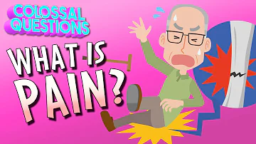 What Is Pain? | COLOSSAL QUESTIONS