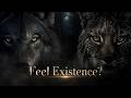How Do Wolves and Big Cats Experience Existence?