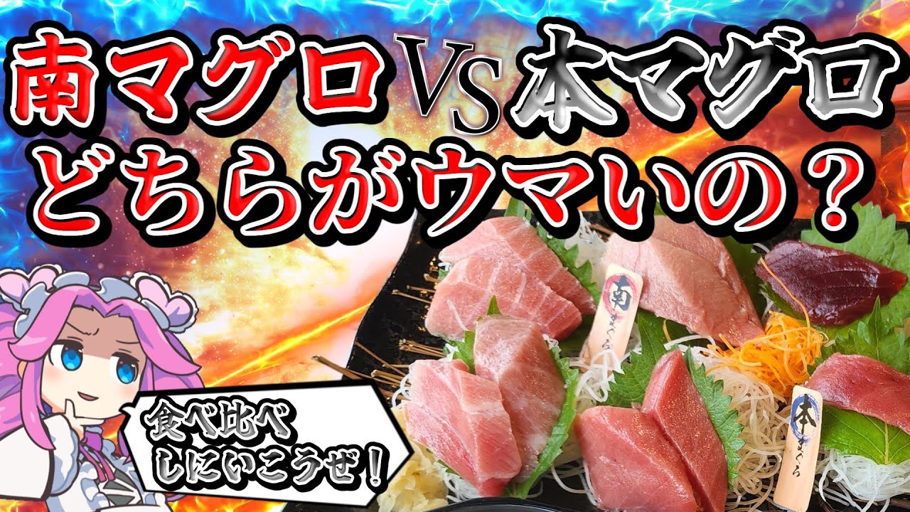 まぐろ最強決定戦！天然の南まぐろと本まぐろを食べ比べしに静岡の新店舗南まぐろと本まぐろにいってみました！！