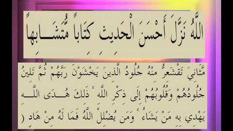 القرآن الكريم سورة الزمر الاية 23