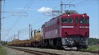 2020.5/29 快晴の東北本線を行くED75ロンチキ工臨