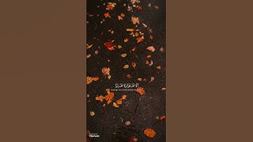 سورة فصلت الاية (30) للقارئ الشيخ محمد اللحيدان #محمد_اللحيدان #قران_كريم #سورة_فصلت