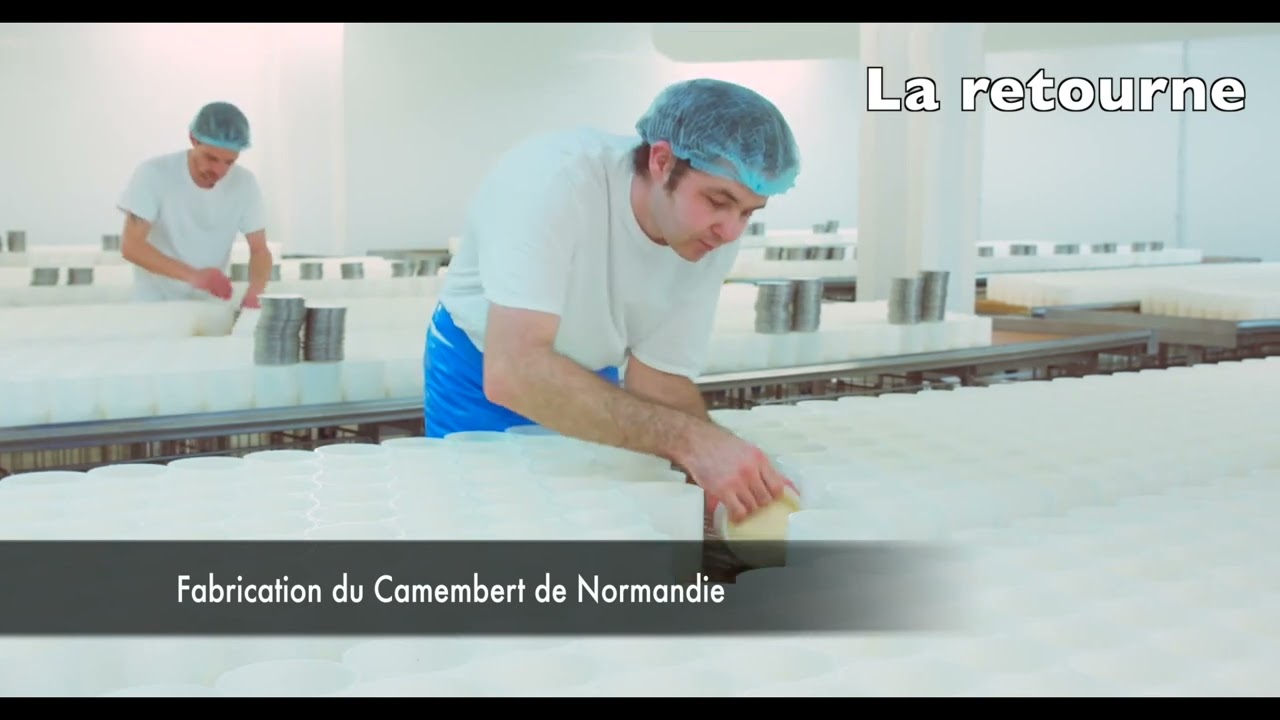 Fabrication du Camembert de Normandie AOP E.Graindorge