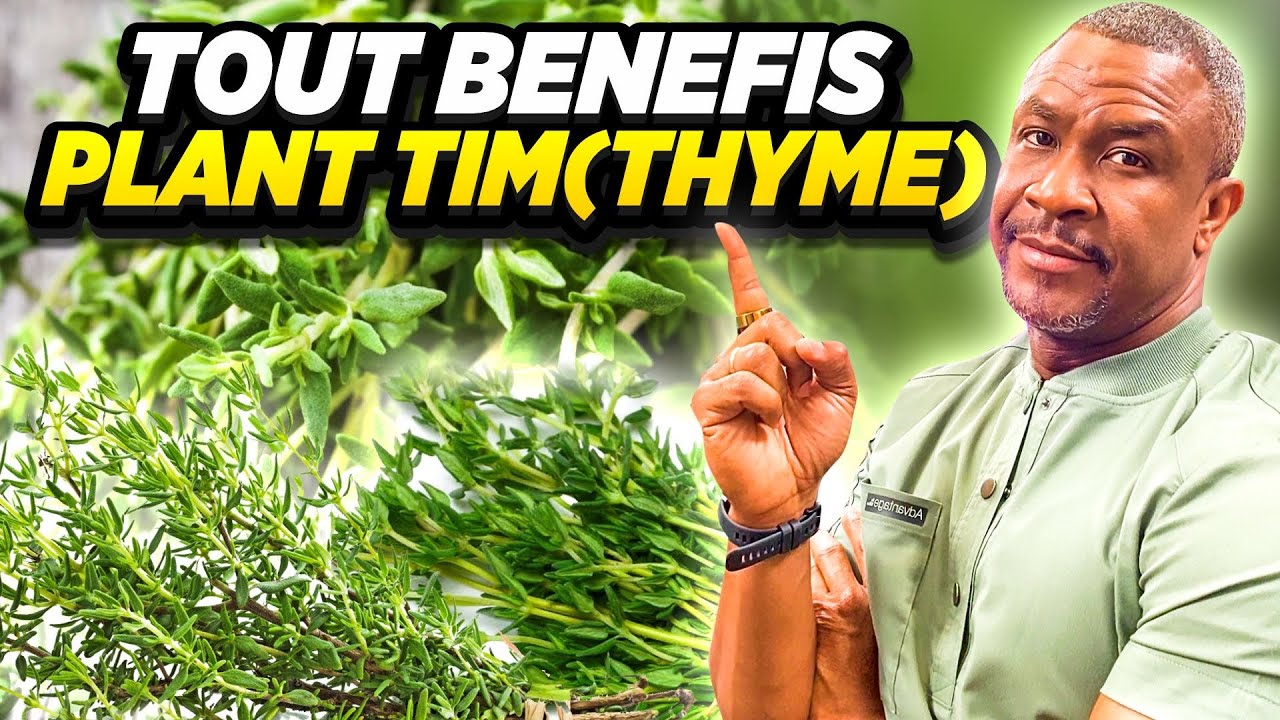 Tim / Thyme : Gro Remèd Pou Period Nou Ye La a.