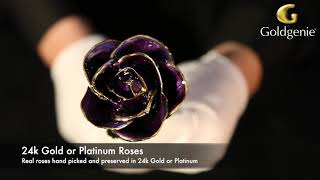 24k Gold Purple Roses | Real Roses | Preserved in 24k Gold | Goldgenie | Video