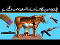 Inventors Who Regretted Their Inventions | Inventors Died by their Own inventions | Urdu Cover