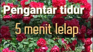 Dengarkan lagu sholawat ini 5 menit terlelap | lagu pengantar tidur