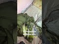 Hamas Builds Precision Missles in Tunnels with Iranian Support