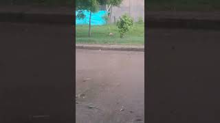 granizada en regidor bolivar