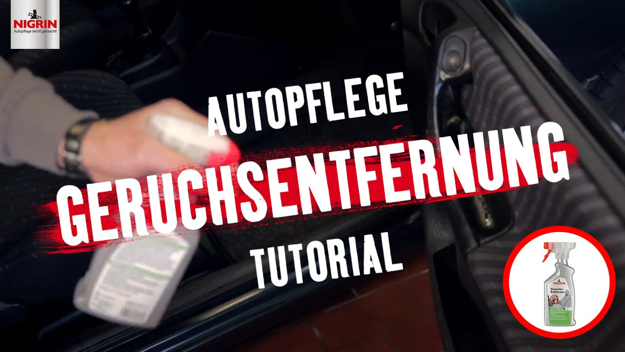 Autopflege Tutorial: Geruchsentfernung