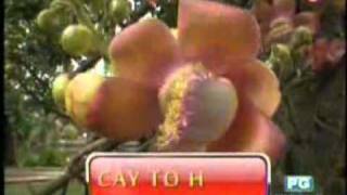 OUTPUT pinoy1 2
