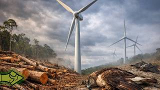 ΤΙ ΔΕΝ ΛΕΝΕ ΓΙΑ ΤΙΣ ΑΝΕΜΟΓΕΝΝΗΤΡΙΕΣ – ΔΑΣΗ ΚΟΒΟΝΤΑΙ, ΖΩΑ ΠΕΘΑΙΝΟΥΝ!